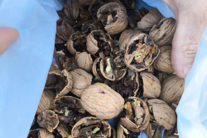 Böyle sahtekarlık görülmedi