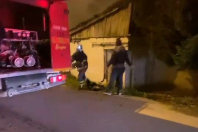 Hayvan çiftliğinde çıkan yangında 10 tavuk 100 civciv telef oldu