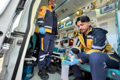 Bursa'da alevlerin arasında kalan yavru kediyi itfaiye kurtardı