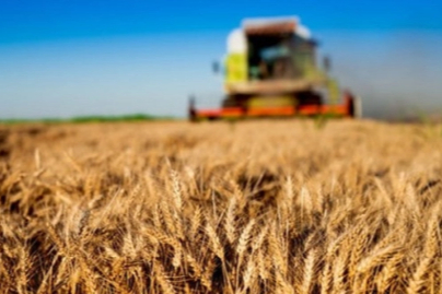 Tarım-ÜFE yıllık yüzde 28,96 arttı