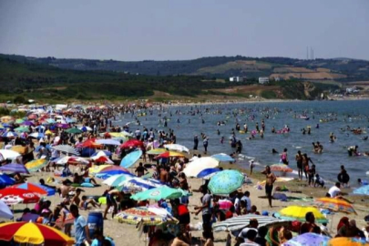 Bursa sahillerinden sevindiren haber