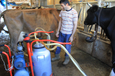 TÜSEDAD: Sıcak çiğ süt fiyatı en az 21 TL olmalı