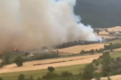 Bursa'da alev alarmı: Ekipler seferber oldu