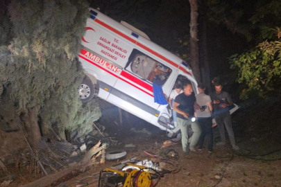 Bursa'da kamyonetin çarptığı ambulans bahçeye uçtu: 5 yaralı