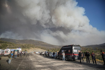 Bursa'daki orman yangınında 3 bin hektarlık alan kül oldu
