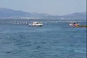 Bursa'da kayıp sanılan dalgıç sağ salim kıyıya döndü