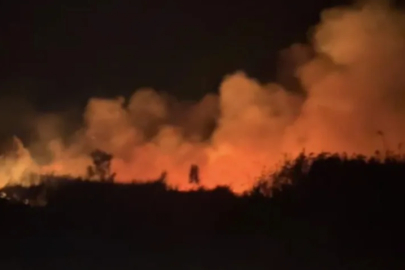 İznik’te korkutan yangın