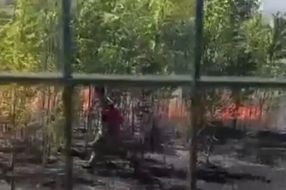 Bursa'da ziraat meslek lisesinin bahçesi alevlere teslim oldu