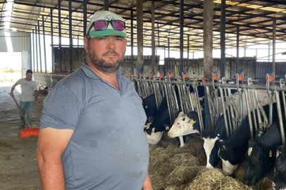 Bursa'da süt üreticilerinden 'yem dayatması'na tepki