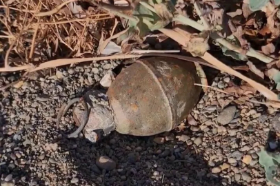İznik Gölü kıyısında patlamamış el bombası bulundu