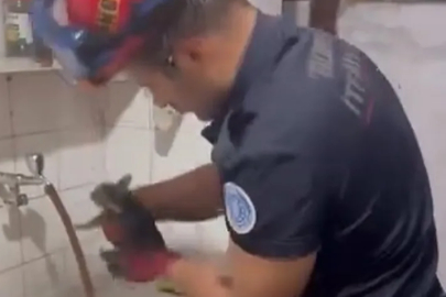 Bursa'da yavru kedi boruya sıkıştı, toprağı kazarak kurtarıldı