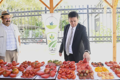 Osmangazi'den organik tarıma destek: Ata tohumlarıyla üretim sürüyor