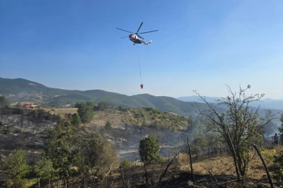 Bursa'da ormanda piknik keyfi, faciaya sebep oluyordu...