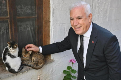 Büyükşehir'den can dostlara şefkat eli