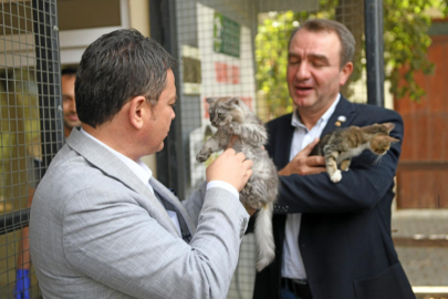 Can dostlar Osmangazi’de koruma altında