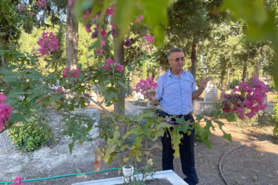 Acıyı yeşille onardı..Bursa'da örnek mezarlık