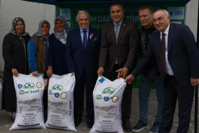 Bursa'da büyükbaşlar İtalyan çimi ile beslenecek