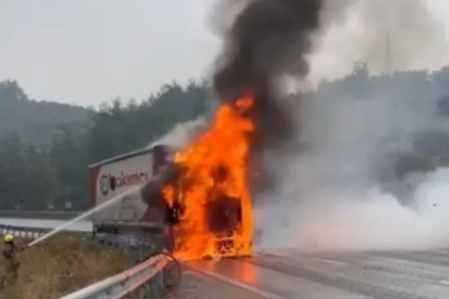 Bursa-Yalova yolunda TIR yangını: araç kullanılamaz hale geldi