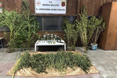 İnegöl'de operasyonu: 9 kilo 400 gram esrar ele geçirildi