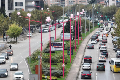 Erken teşhis için sokak lambaları pembe yanıyor