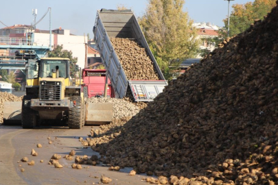 Tarım Bakanlığı: "Kuraklık nedeniyle şeker pancarı üretimini kısıtlamayacağız"