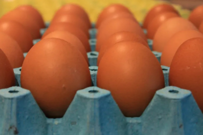 YUM-BİR: Sağlıklı bir yaşam için her gün yumurta