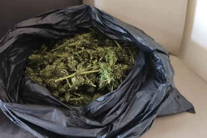 Bursa polisi kümes baskınında zehri buldu!