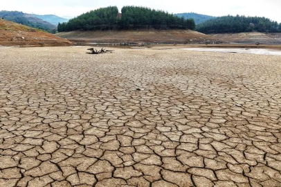 Bursa tarımının kalbi Gölbaşı ve Demirtaş Barajları kurudu