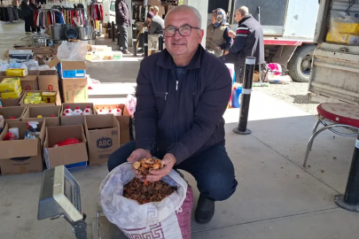 Elma kurusu, üreticisini sevindirdi