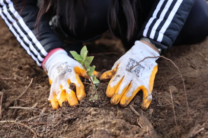 Uludağ Elektrik’ten çevreci adım: E-fatura ile su tüketimi azalıyor