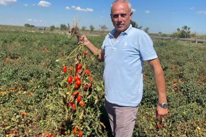 Londra’dan Karacabey’e: Tarıma büyük yatırım