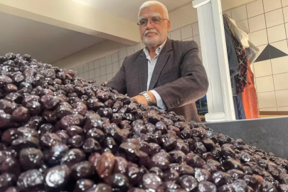 Bursa'nın Katırlı köyünden İsviçre’ye zeytin ihracatı