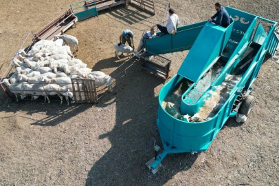 İnegöl modeli Bursa’ya yayılıyor: Küçükbaş hayvancılığa yenilikçi destek