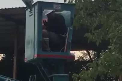 Bursa'da vinç üstünde "arı alarmı"