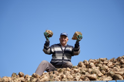 Pancar üretiminde düşüş şeker arzında sorun oluşturmayacak