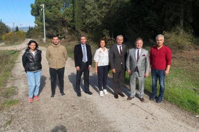 Bursa tarımına akademik bakış