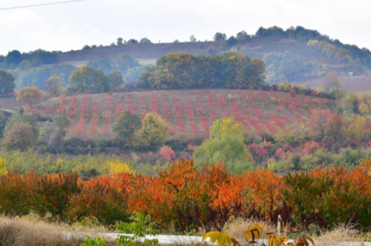 İnegöl'de kartpostallık görüntüler