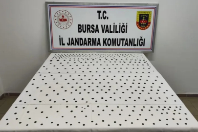 Jandarma'dan İznik'te tarihi operasyon