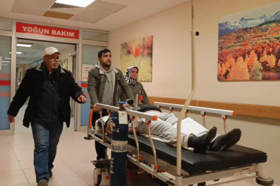 Bursa'da mantar yedi hastanelik oldu