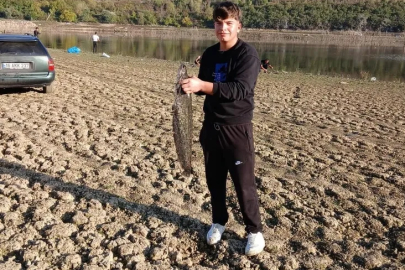 İnegöl'de su seviyesi düştü, dev yayın balıkları gündem oldu