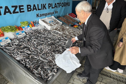 Denizlerde balık bolluğu: Hamsinin fiyatı 89 liraya düştü
