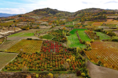 Sonbaharın renk cümbüşü Uludağ eteklerinde