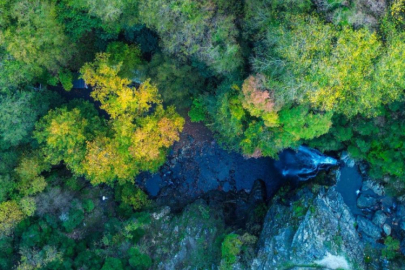 Gemlik'in saklı güzelliğinde renk cümbüşü