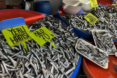 Tezgahlarda hamsi bolluğu