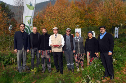 Osmangazi’de İlk Hasat Başkan Aydın’dan