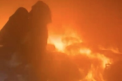 Bursa'da kuruyemiş fabrikasında korkutan yangın