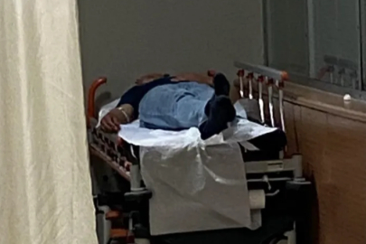 Bursa'da yedikleri mantardan hastanelik oldular