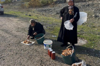 Bursa'da iki yaşlı kadın gençlere taş çıkartıyor