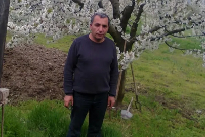 Bursa'da budadığı ağaçtan düşen adam hayatını kaybetti