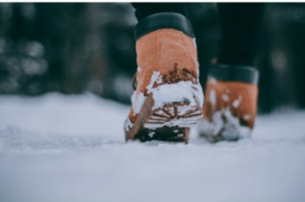 Bot Alırken Nelere Dikkat Edilmeli?